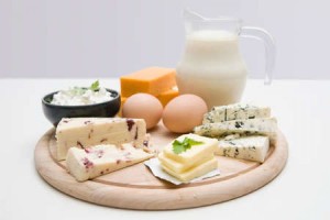 Белковая пища