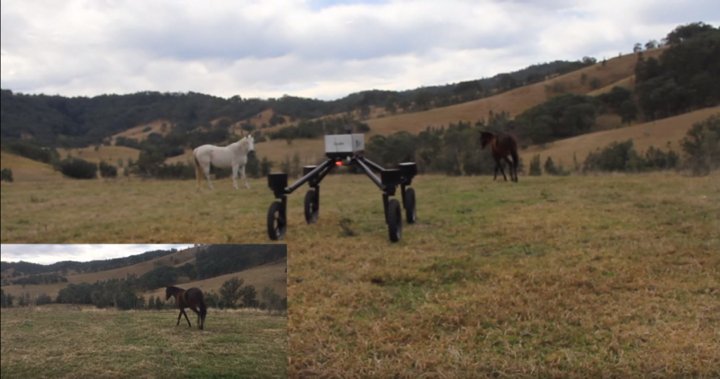 robot-pastuh2