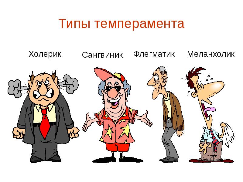типы темперамента