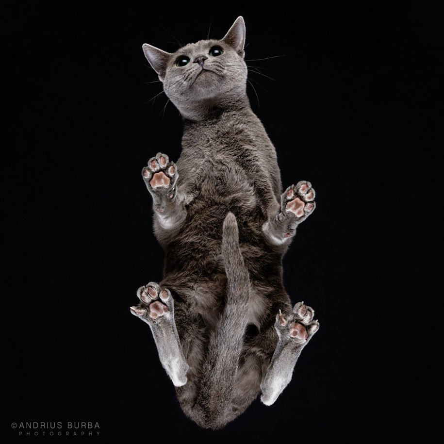 литовский фотограф
