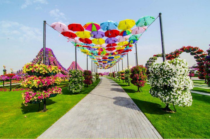 Dubai-Miracle-Garden
