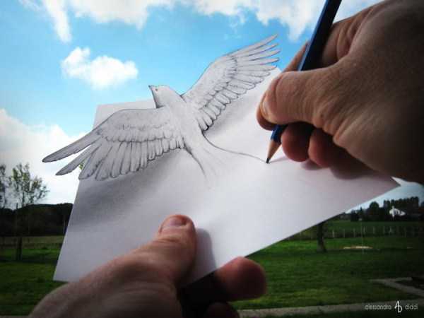 Alessandro-Diddi_pencil-drawings