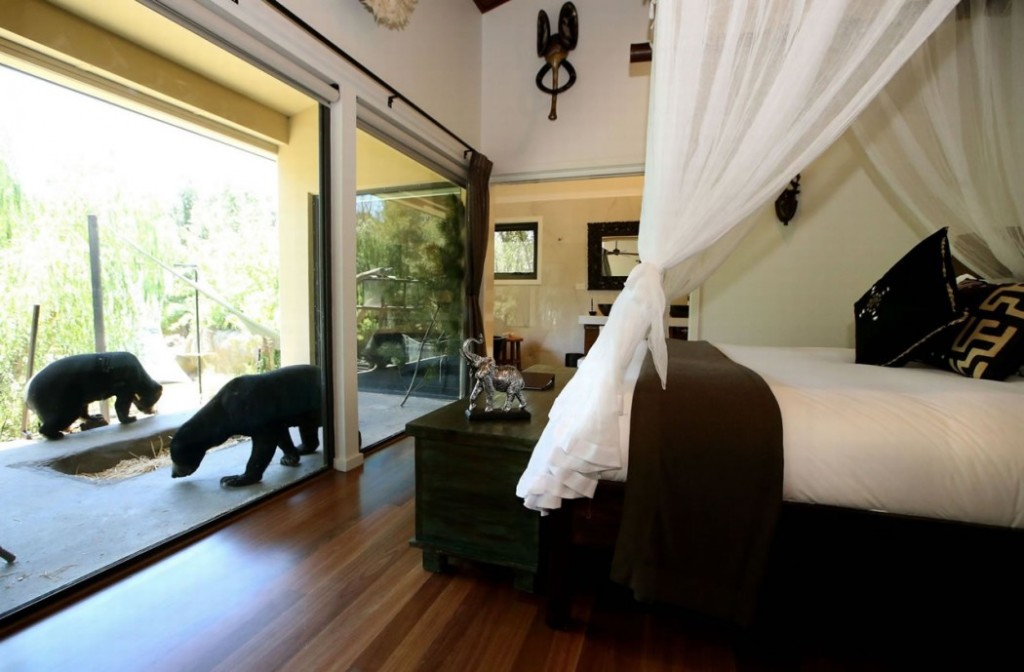 Jamala-Wildlife-Lodge-Canberra-Australia