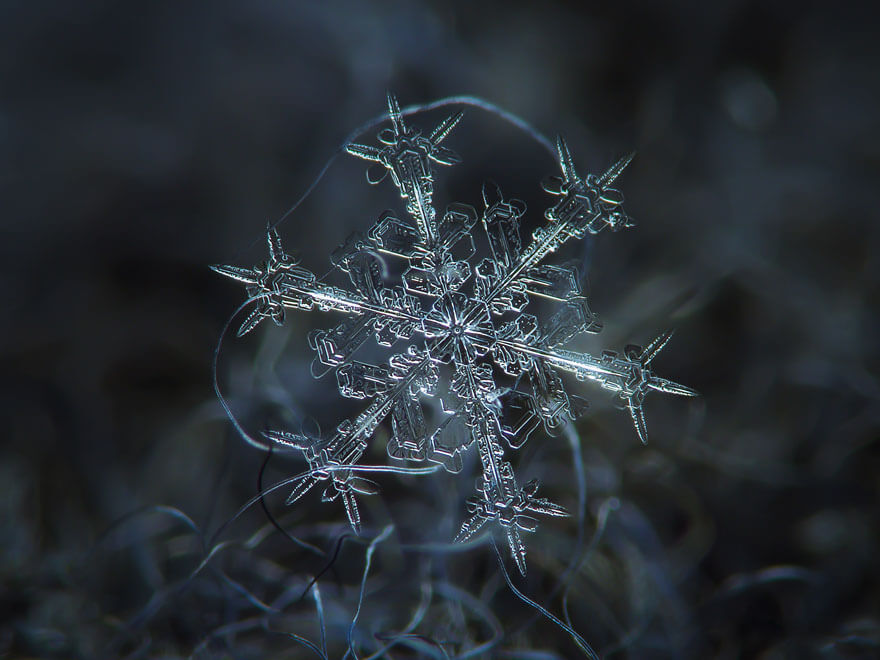 snowflakes