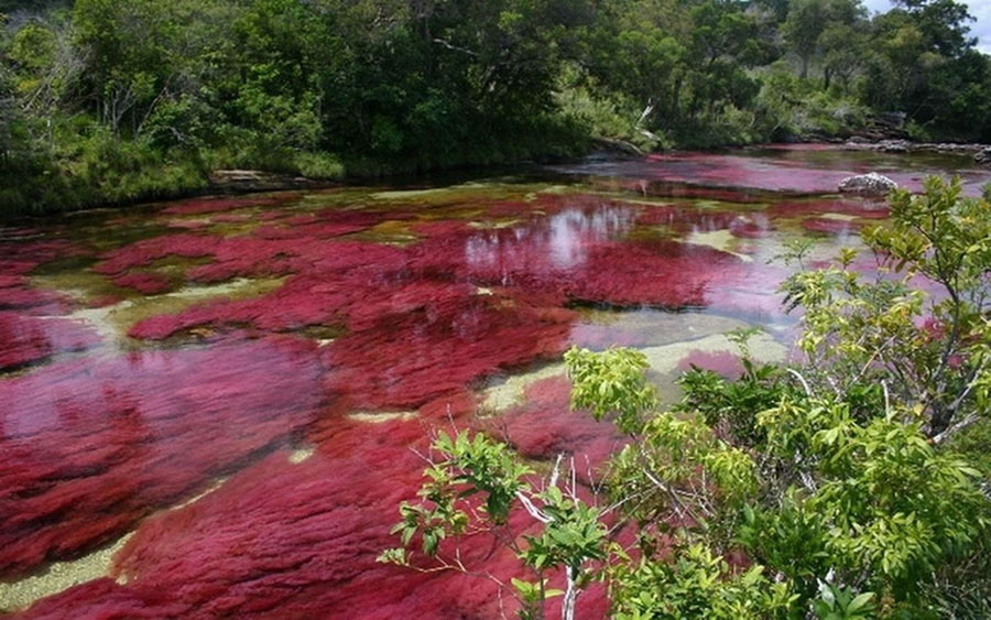 Five ColorsRiver